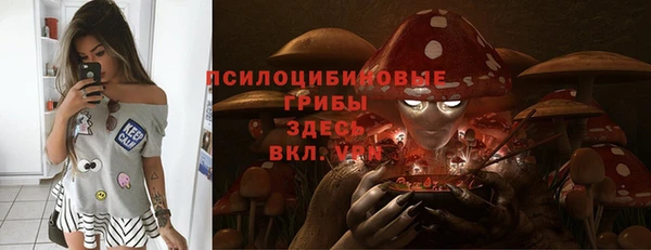 героин Алексин