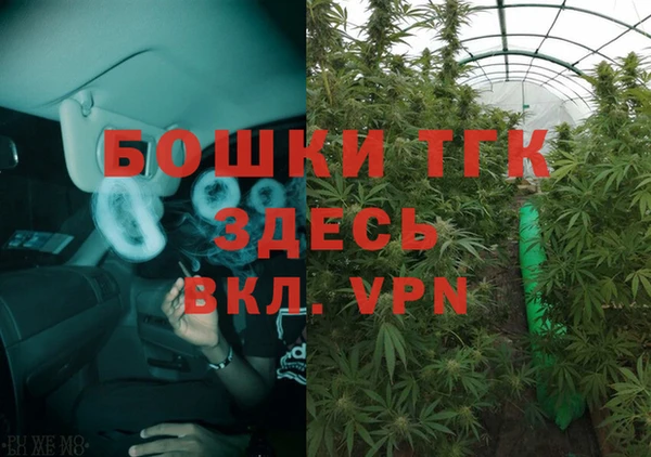 крисы Алзамай