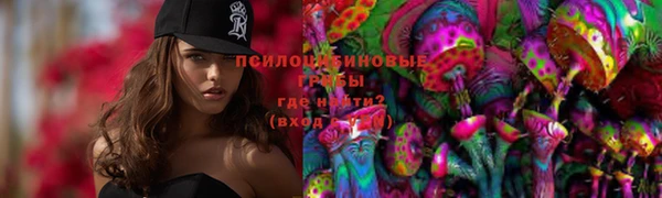 крисы Алзамай