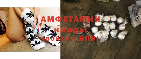 крисы Алзамай